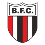 botafogo-futebol-clube-logo-png_seeklogo-21631